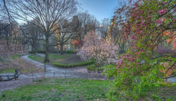 Kevät Central Parkissa New Yorkissa — kuvapankkivalokuva