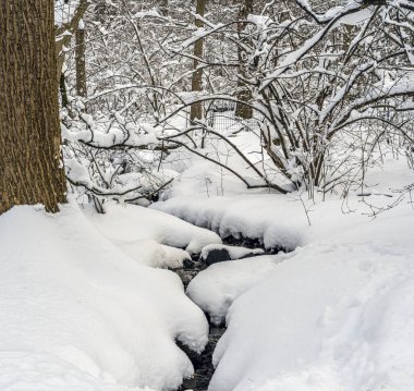 Kışın kar fırtınasından sonra Central Park