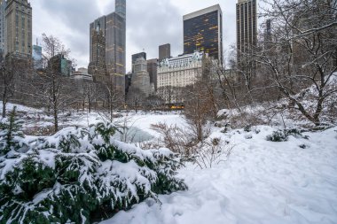 Central Park 'ın kıyısındaki Plaza Oteli, New York