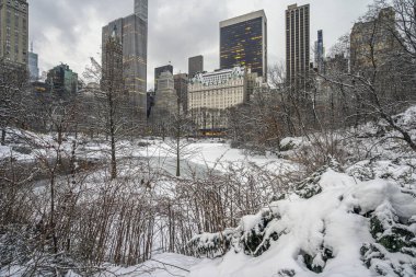 Central Park 'ın kıyısındaki Plaza Oteli, New York
