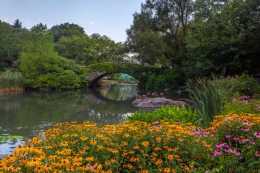 Central Park 'taki Gapstow Köprüsü Yazın erken saatlerinde