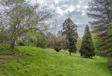 Central Park 'ta bahar, New York
