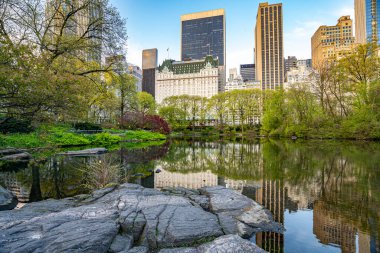 Central Park 'ın kıyısındaki Plaza Oteli, New York