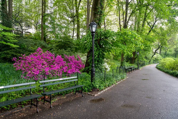 Frühling Central Park New York City — Stockfoto