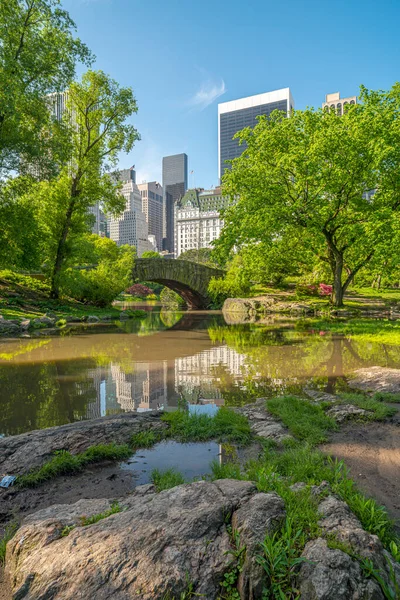 Våren Central Park New York City Framför Plaza Hotel — Stockfoto