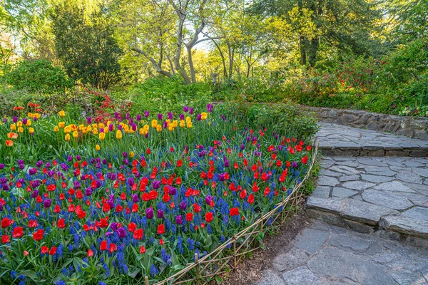 Shakespeare Garden Central Park New York City — Stockfoto