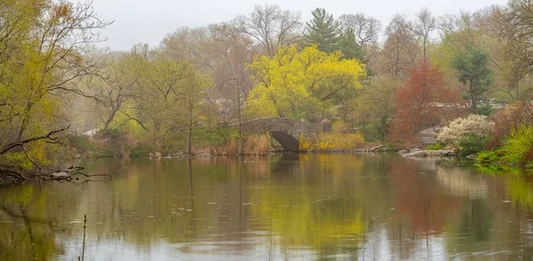 Puente Gapstow Central Park Principios Primavera Día Niebla —  Fotos de Stock