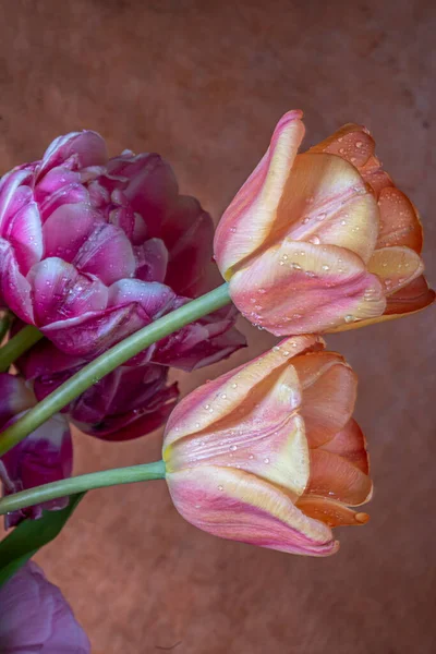 Bouquet Fleurs Est Une Collection Fleurs Dans Arrangement Créatif — Photo