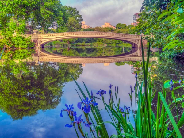 Puente Proa Central Park Nueva York Temprano Mañana Primavera —  Fotos de Stock