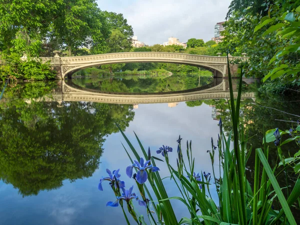 Bow Bridge Central Park New York City Frühmorgens Und Frühlingshaft — Stockfoto