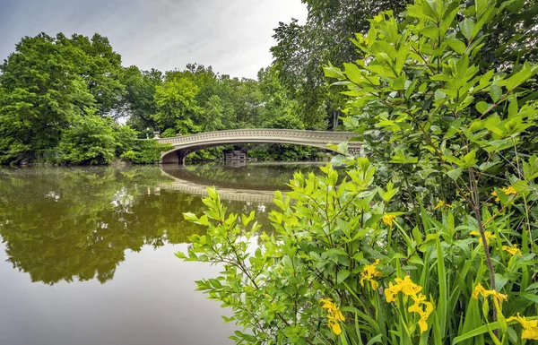 Bow Bridge Central Park New York City Frühmorgens Und Frühlingshaft — Stockfoto