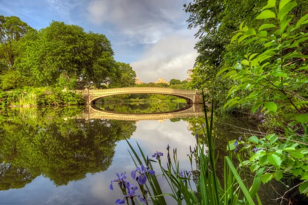 Bow Bridge Central Park New York City Early Morning Spring — Stock Photo, Image