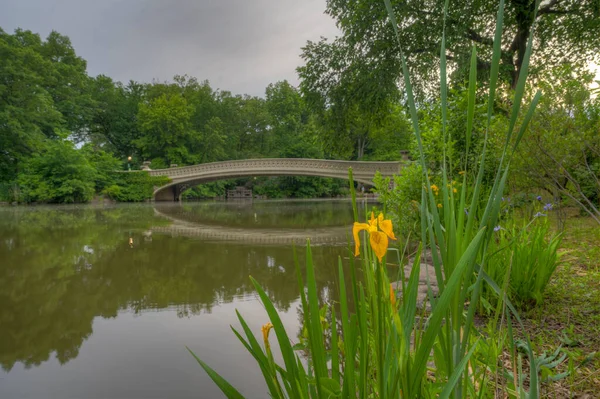 Bow Bridge Central Park New York City Časně Ráno Jaře — Stock fotografie