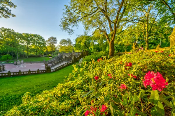 Bethesda Terrace Fountain New York Central Park Indaki Göle Bakan — Stok fotoğraf