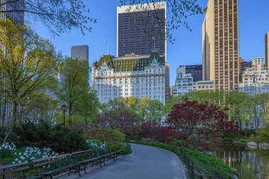Central Park 'ın kıyısındaki Plaza Oteli, New York
