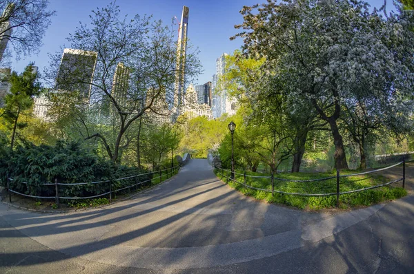 Puente Gapstow Central Park Principios Primavera — Foto de Stock