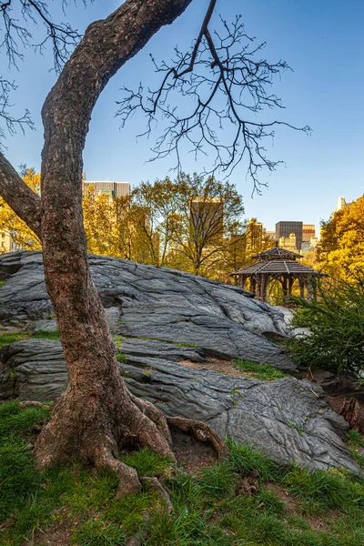 Frühling Central Park New York City Rustikalen Tierheim — Stockfoto