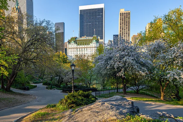 Plaza Hotell Utkanten Central Park New York — Stockfoto