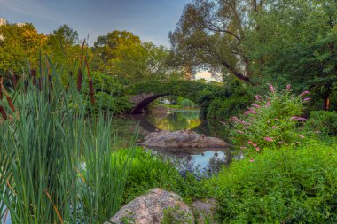 Central Park 'taki Gapstow Köprüsü Yazın erken saatlerinde