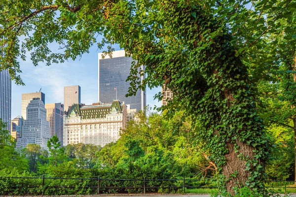 纽约市中央公园边缘的广场酒店 — 图库照片
