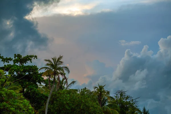 Early Morning Caribbean Sunrtise Island Roatan — Stock Photo, Image