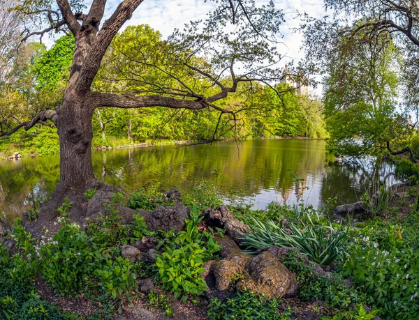 Baharda Central Park New York City Sabahın Erken Saatlerinde — Stok fotoğraf
