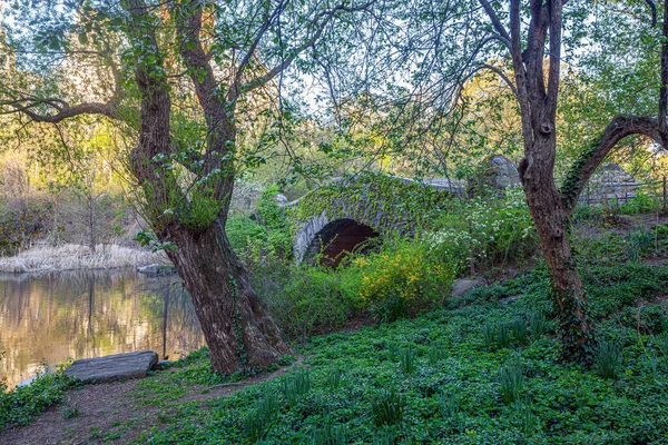 Central Park Taki Gapstow Köprüsü Sabah Erken Saatlerde — Stok fotoğraf