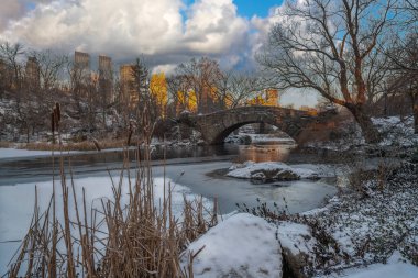 Central Park 'taki Gapstow Köprüsü 