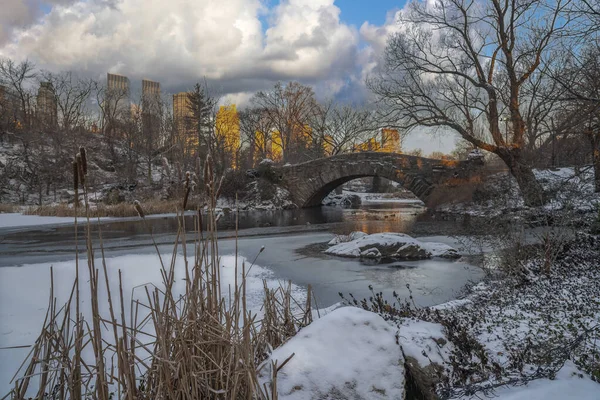 Ponte Gapstow Central Park — Foto Stock