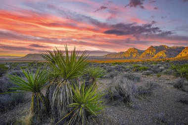 Red Rock Canyon National Conservation Area in Clark County, Nevada, clipart