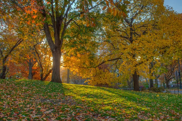 Central Park New York City Herbst Wenn Die Sonne Aufgeht — Stockfoto