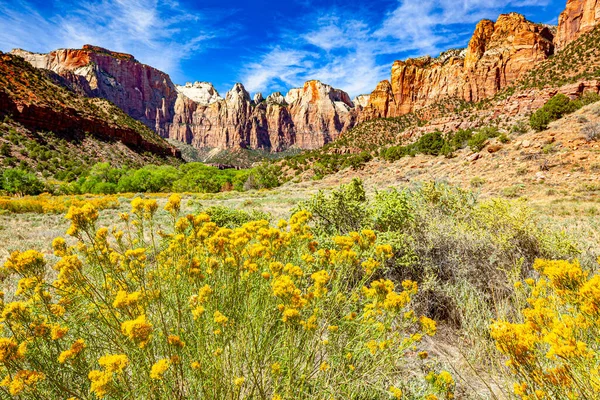 Zion National Park Parque Nacional Estadounidense Situado Suroeste Utah Cerca — Foto de Stock