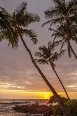 Hawaii 'nin büyük adası, dramatik sahilde gün batımı.