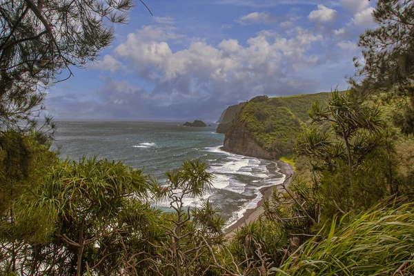 Hawaii Nagy Szigete Part Mentén Kora Reggel — Stock Fotó