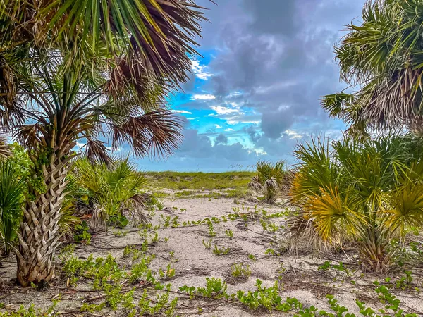 Kora Reggeli Drámai Égbolt Florida Partjainál — Stock Fotó