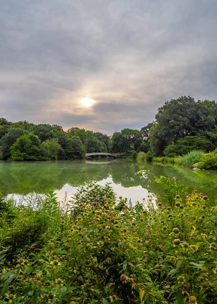 Ponte Prua Central Park New York City Fine Estate Smorning — Foto Stock