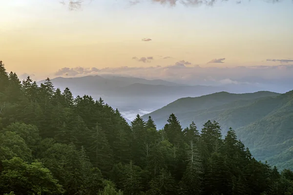 Great Smoky Mountains National Park Abd Nin Güneydoğusunda Tennessee Kuzey — Stok fotoğraf