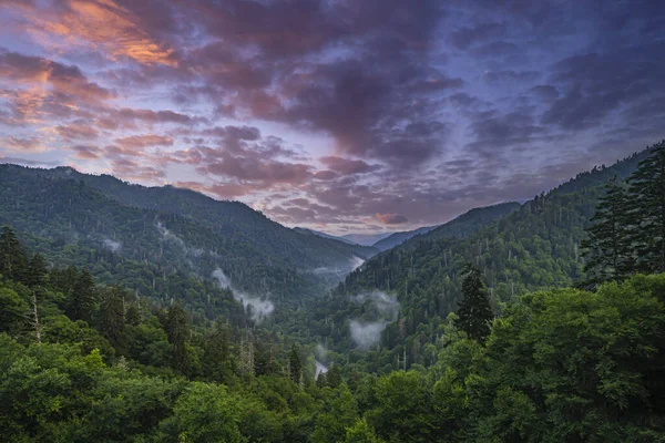 Национальный Парк Great Smoky Mountains Американский Национальный Парк Юго Востоке — стоковое фото