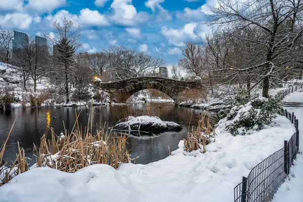 Gapstow Bridge Central Park Sneeuwstorm — Stockfoto