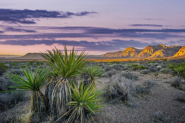 Nationales Naturschutzgebiet Red Rock Canyon Clark County Nevada — Stockfoto