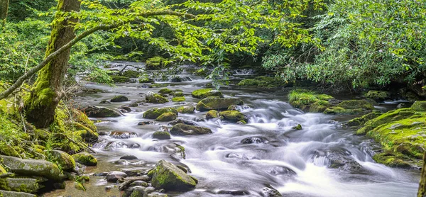 Great Smoky Mountains National Park American National Park Southeastern United — Stock Photo, Image