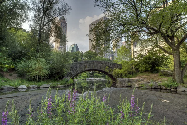 Puente de Gapstow Central Park, Nueva York — Foto de Stock