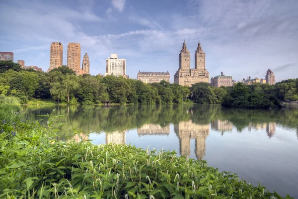 Nad jeziorem w central park — Zdjęcie stockowe