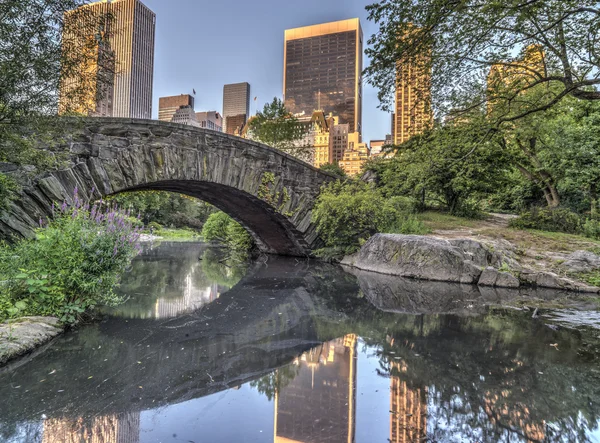 Gapstow köprü central park, new york city — Stok fotoğraf