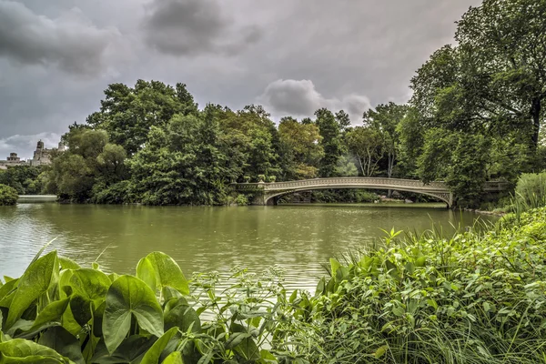 No lago do Central Park — Fotografia de Stock