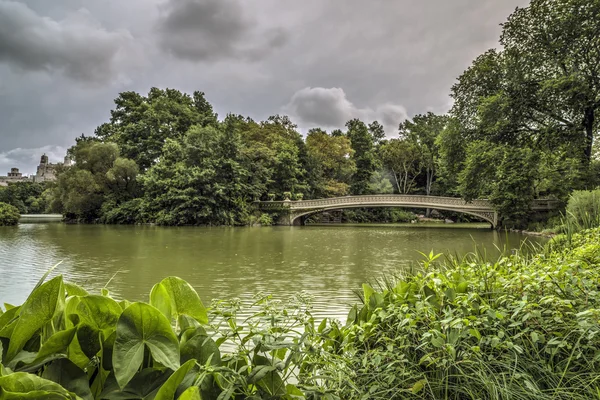 At the lake in Central Park — Stock Photo, Image