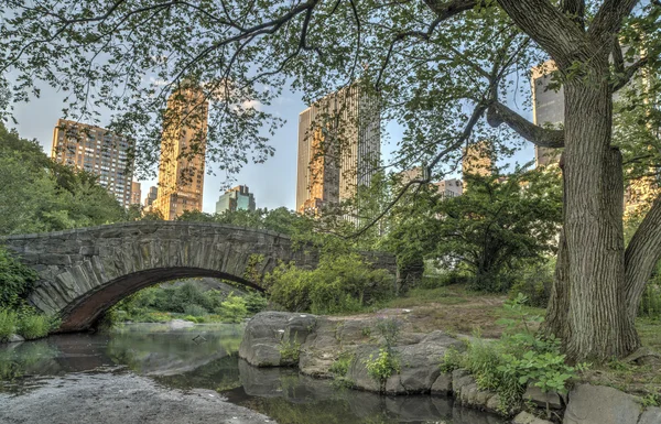 Ponte di Gapstow Central Park, New York — Foto Stock