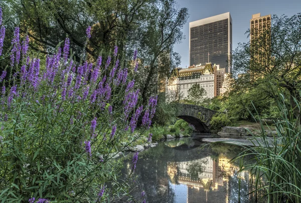 Gapstow Bridge Central Park, New York City — Stockfoto