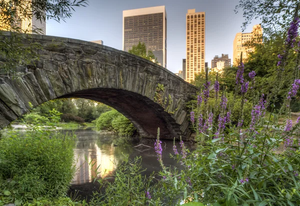 Ponte di Gapstow Central Park, New York — Foto Stock