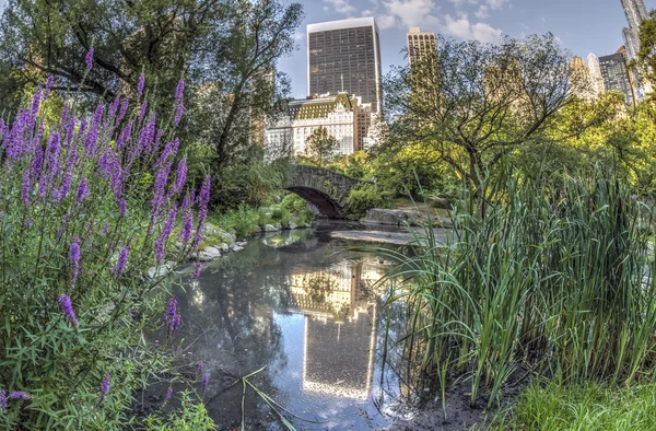 Puente de Gapstow Central Park, Nueva York — Foto de Stock